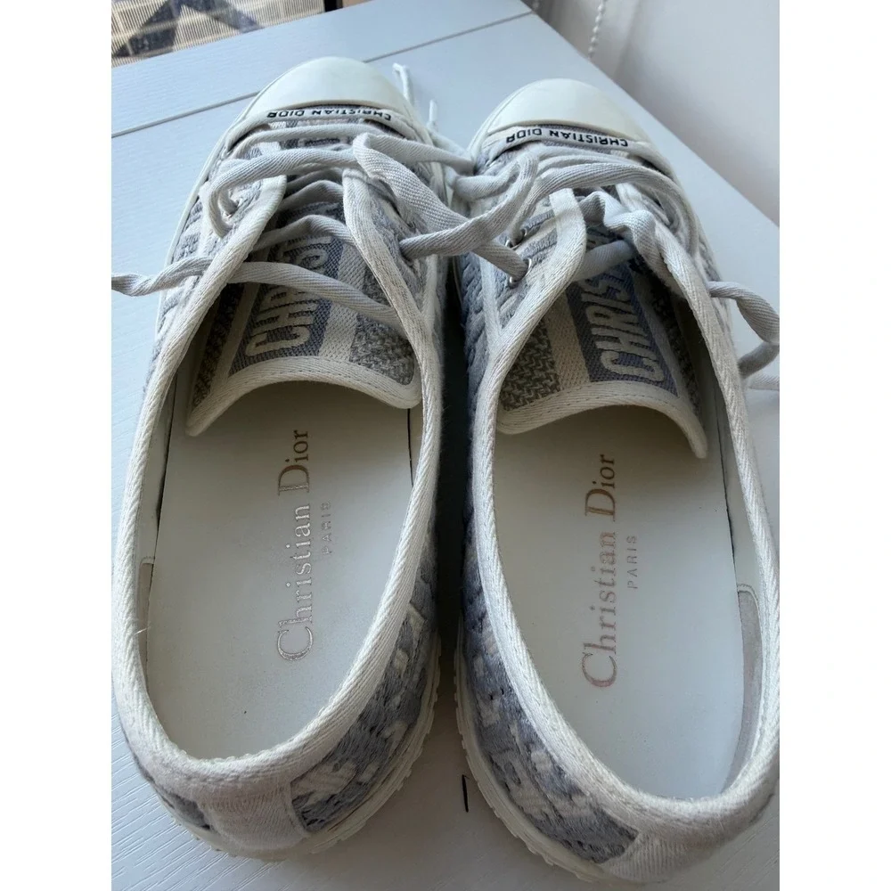 Dior authentic walk